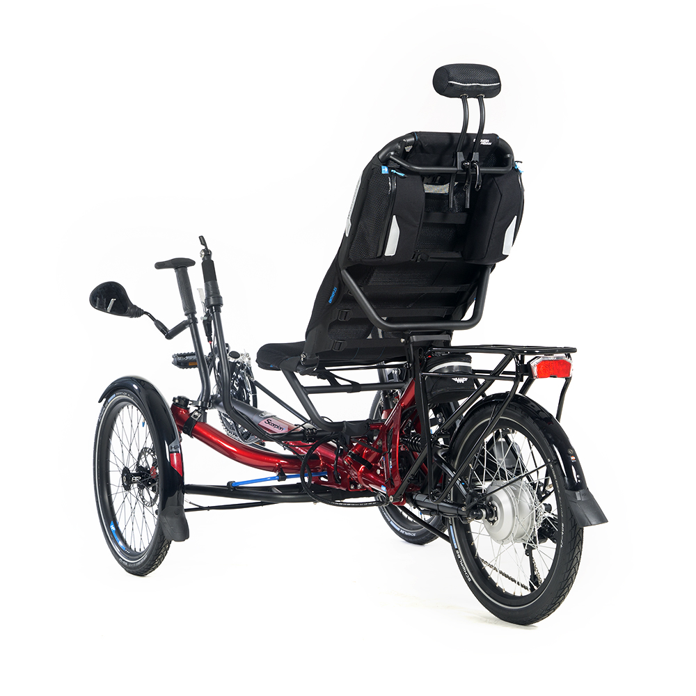 Scorpion Plus 20 e-bike